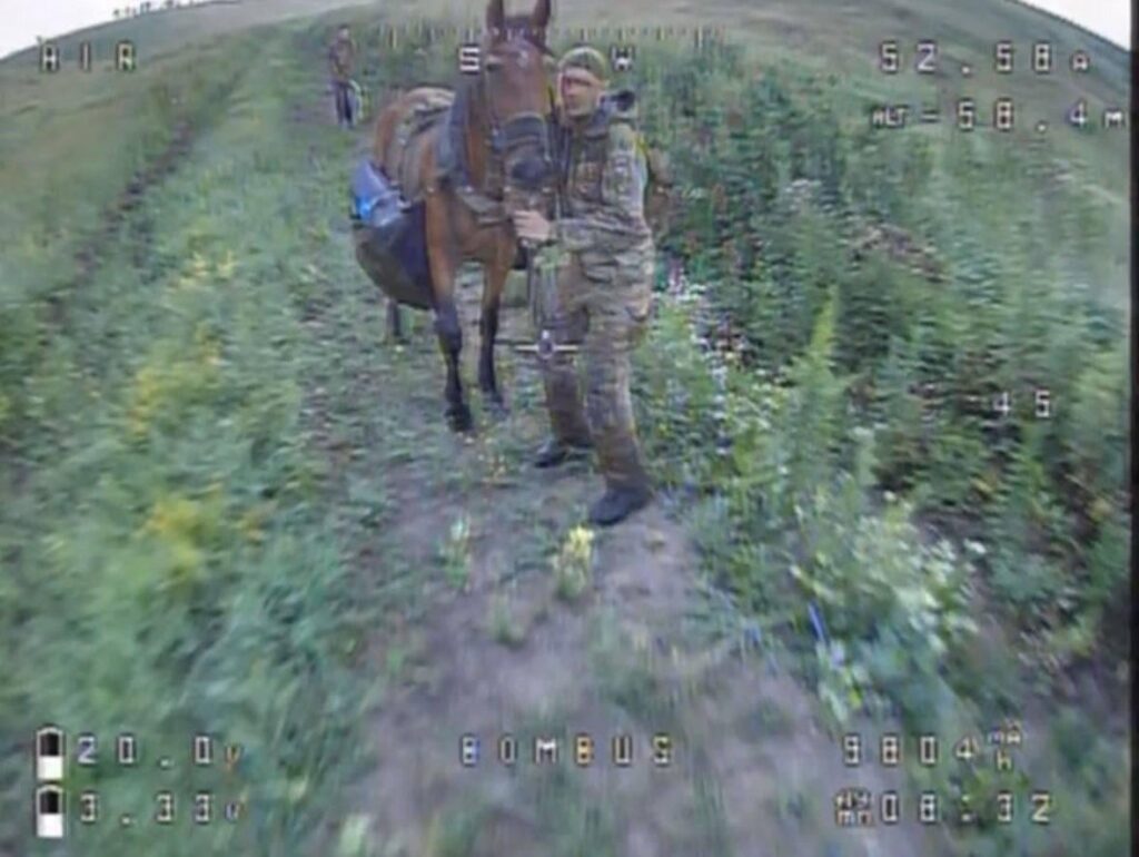 残念ながら、ロシアの兵士は正面に直接馬を使用しています。したがって、動物の損失はもう防止できません。 27.07.2025