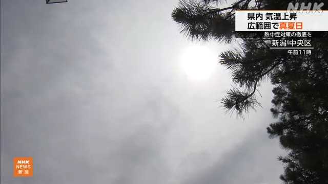 新潟県 午前中から各地で真夏日に 熱中症対策の徹底を - nhk.or.jp
