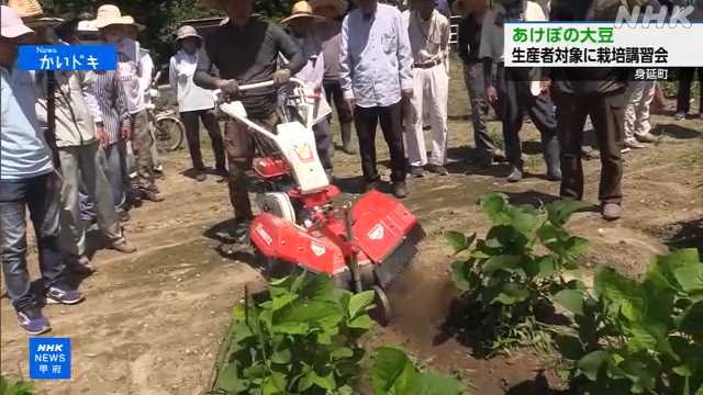 山梨 身延町の特産「あけぼの大豆」 生産者対象に栽培講習会|NHK 山梨県のニュース 山梨 身延町の特産「あけぼの大豆」 生産者対象に栽培講習会|NHK 山梨県のニュース