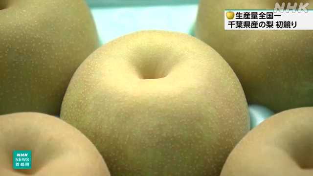 “生産量全国一” 千葉県産「梨」の初競り 東京 大田市場｜NHK 千葉県のニュース