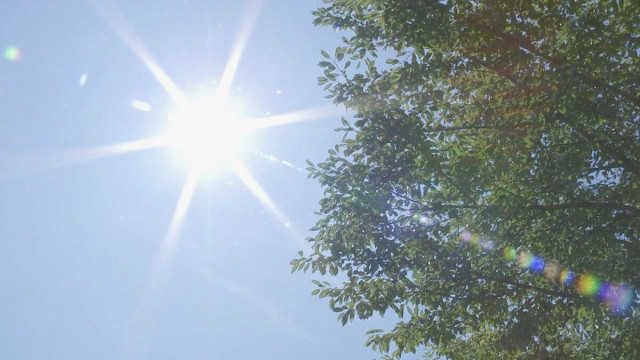 あす７日の熱中症警戒アラート　北海道、群馬県、静岡県、滋賀県、奈良県に今年初発表　こまめな休息や水分・塩分の補給を呼びかけ