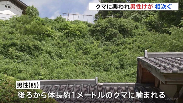 栃木・那須塩原市でクマ被害相次ぐ　庭の手入れ中の男性(85)が後ろからかまれ軽傷　別の男性(77)も襲われる