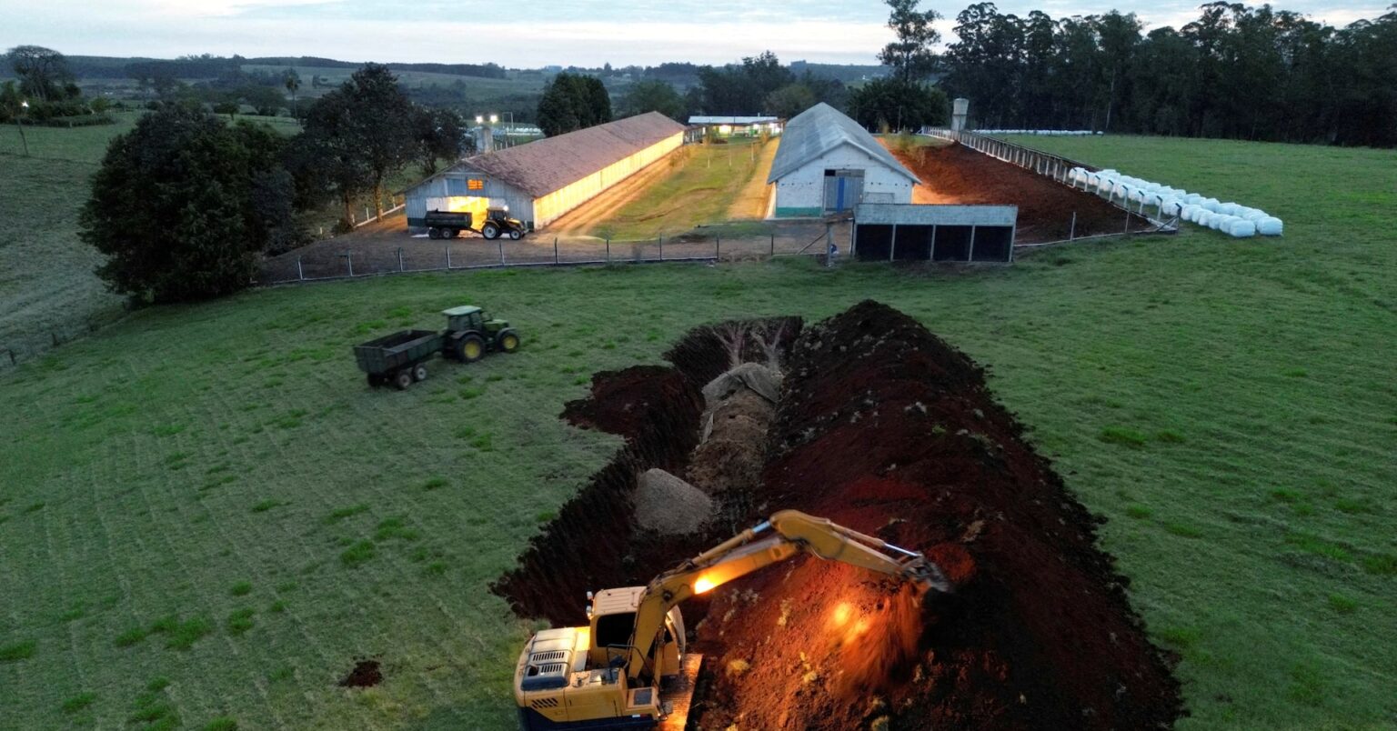 中国、ブラジル産鶏肉の禁輸解除検討　鳥インフル終息宣言受け | ロイター