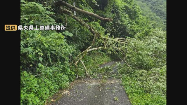 江の川沿いの県道 倒木のため通行止め（９日午前１０時現在）　8日に110ミリの雨が降り「記録的短時間大雨情報」発表された島根県邑南町　