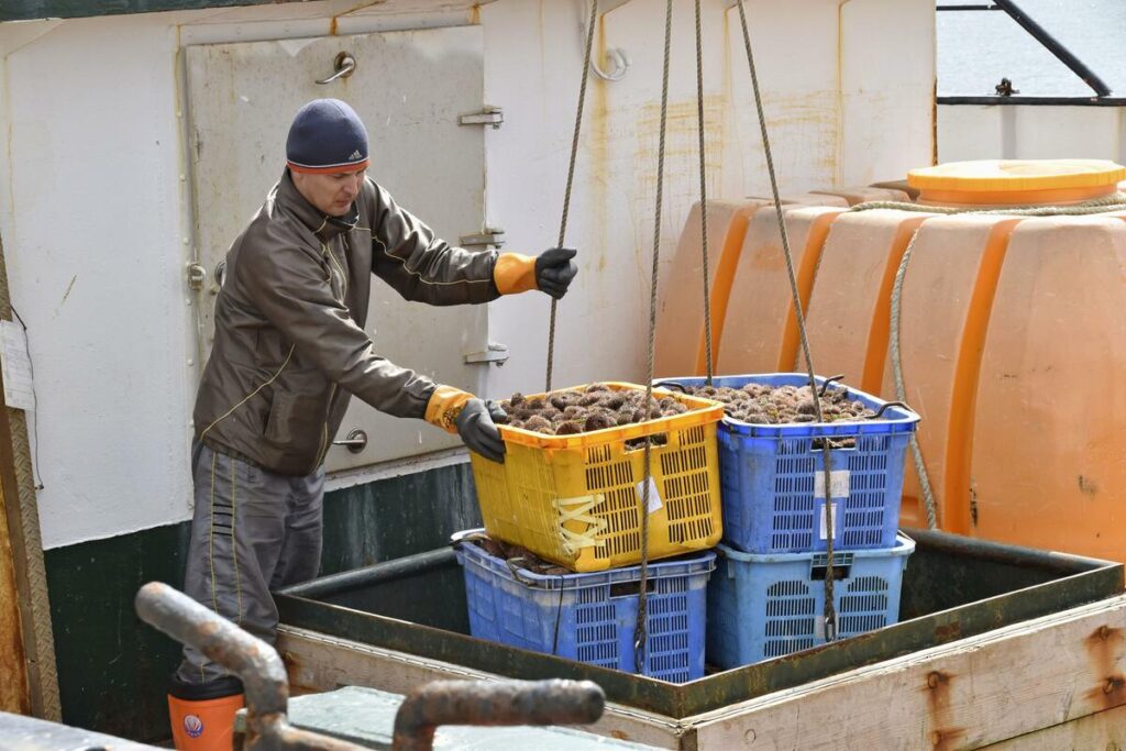 ロシアが日本に仕掛ける「見えない戦争」、シジミ・ホッキ漁獲規制が断ち切る北方領土・ロシア極東と日本の関係 【安木レポート】シジミ漁獲にかかる税は990倍、ホッキは何と1620倍に、困窮した漁民は兵士になる以外にない(1/4) | JBpress (ジェイビープレス)