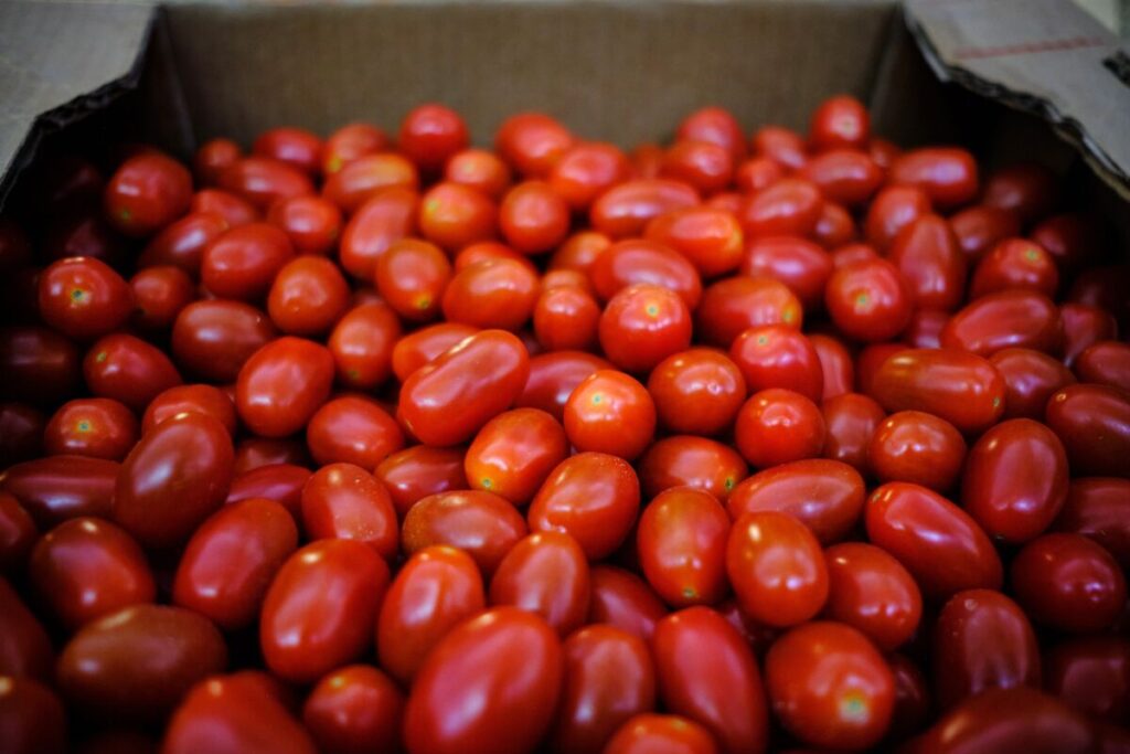 米国、メキシコ産トマト輸入の大半について17％の関税賦課 - Bloomberg
