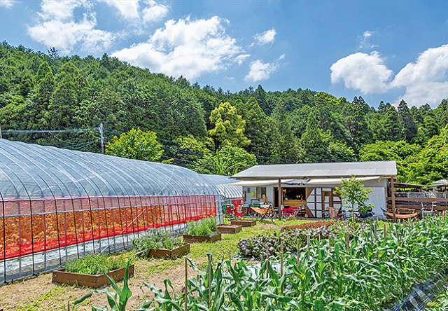 ファンファン福岡【おでかけINFORMATION 拡大版】イベントや耳より情報をピックアップ♪（7月18日号）