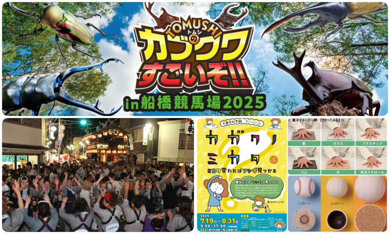 TOMUSHIのカブクワすごいぞ!! in 船橋競馬場2025