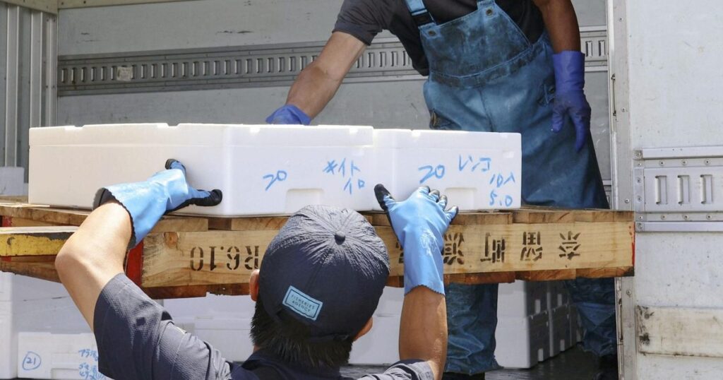燃油高直撃、生活苦に拍車　長崎・五島列島　離島支援延長、候補者に訴え - 琉球新報デジタル