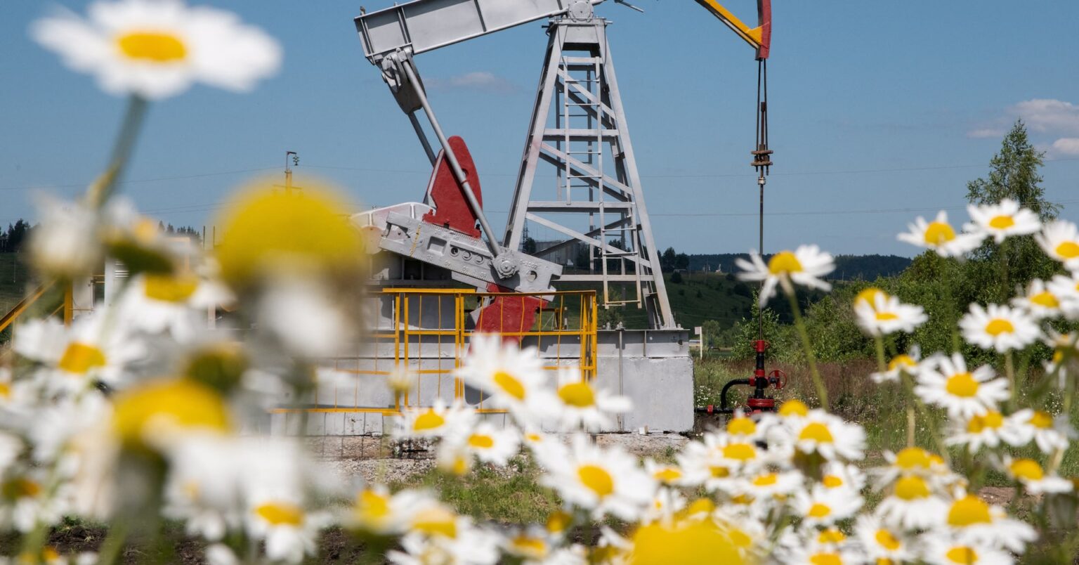 ロシアの石油・ガス収入、7月は前年比37％減か　油価下落で | ロイター