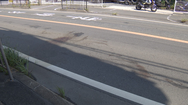 事故から４時間後　トラック運転手の男を過失運転致死などの疑いで逮捕　８７歳の男性が死亡したひき逃げ事件　「事故を起こしたことに気付かなかったのでそのまま行きました」大阪・摂津市