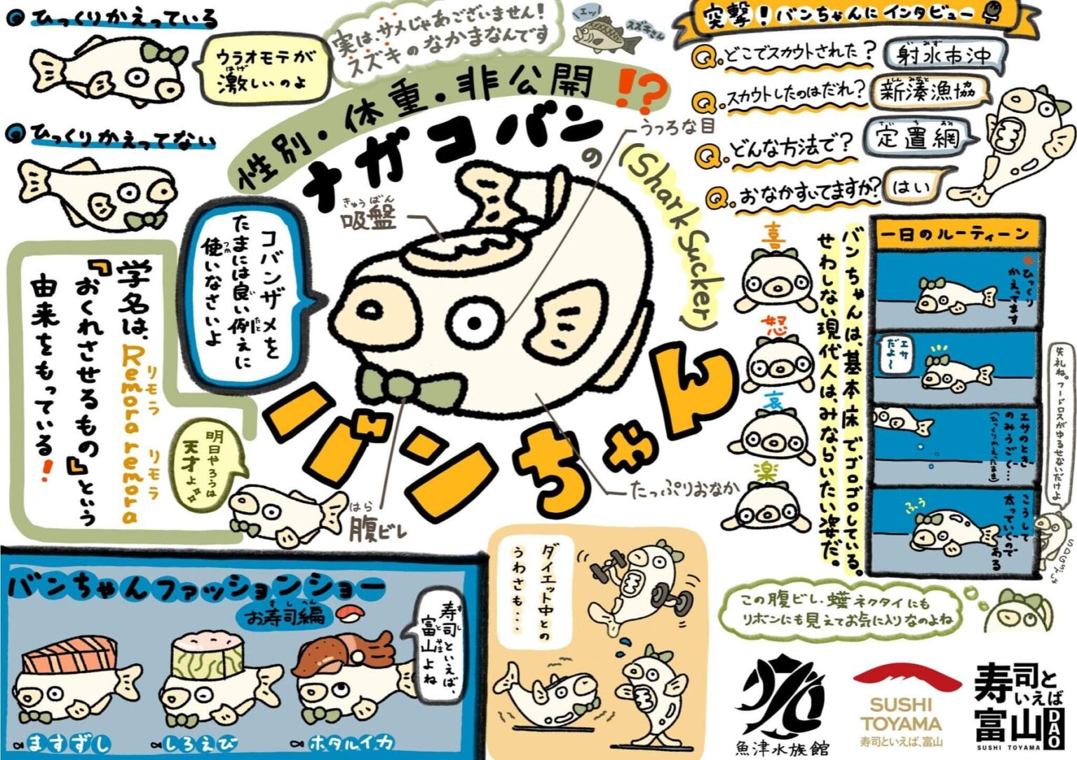 富山の寿司を盛り上げる「寿司といえば富山DAO」と「魚津水族館」が連携！コバンザメのキャラクター「バンちゃん」を通じて富山の魅力を全国へ発信 | Web3 Times合同会社のプレスリリース