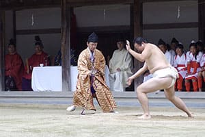 大山祇神社抜穂祭　愛媛県今治市