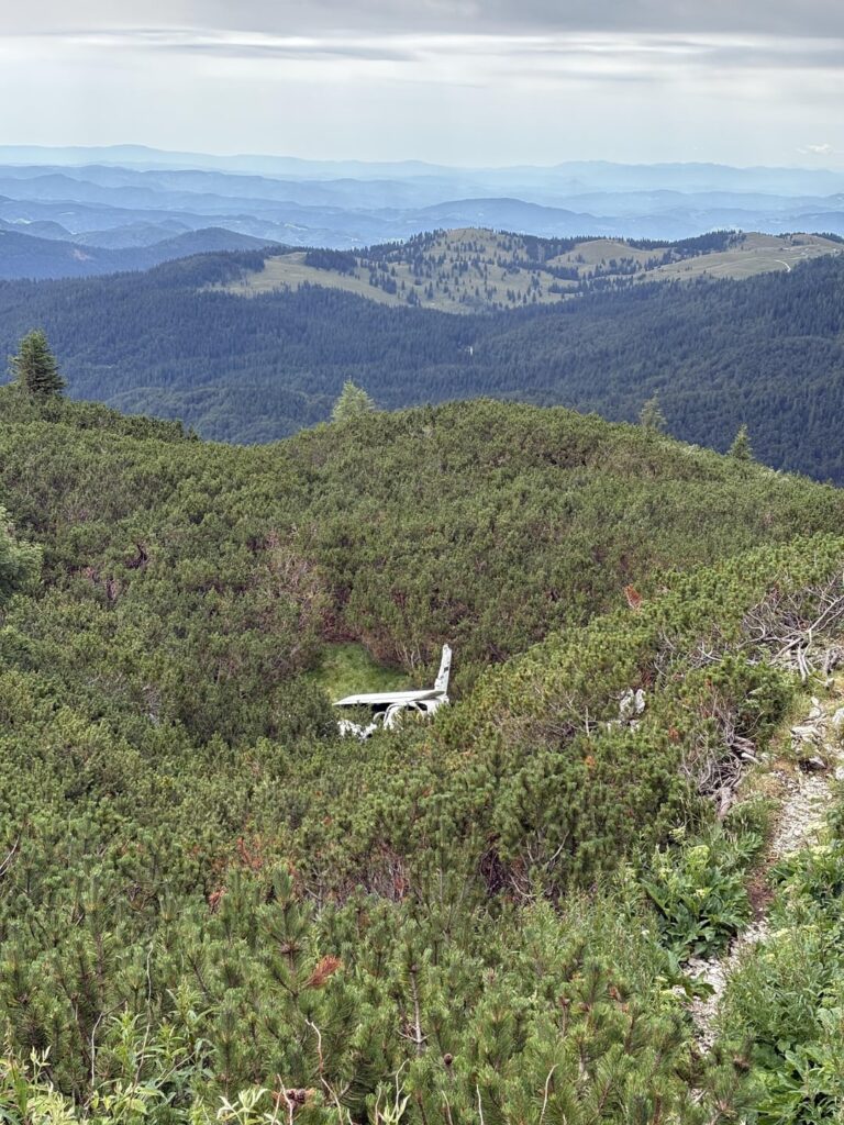 馬の山の近くのcrash落した航空機？