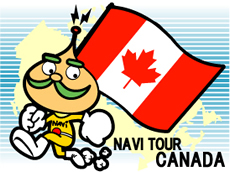 NAVI-TOURlogo