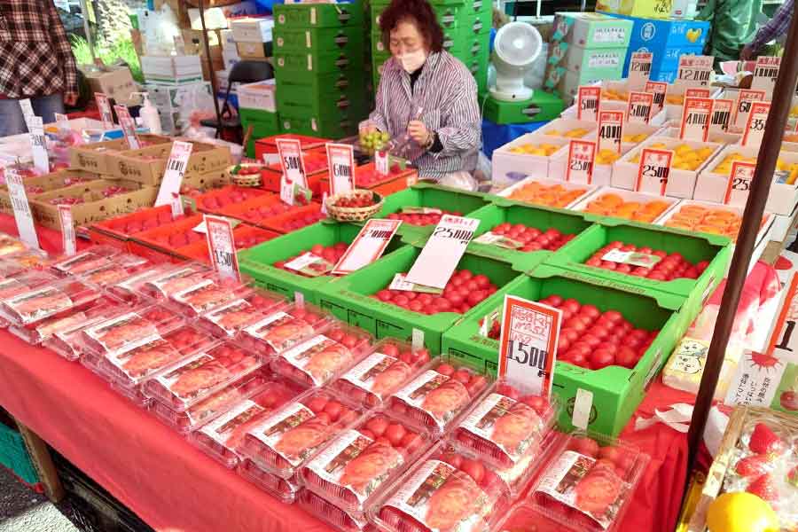 甘さが口の中いっぱいに広がる徳谷トマト【写真：芳賀宏】