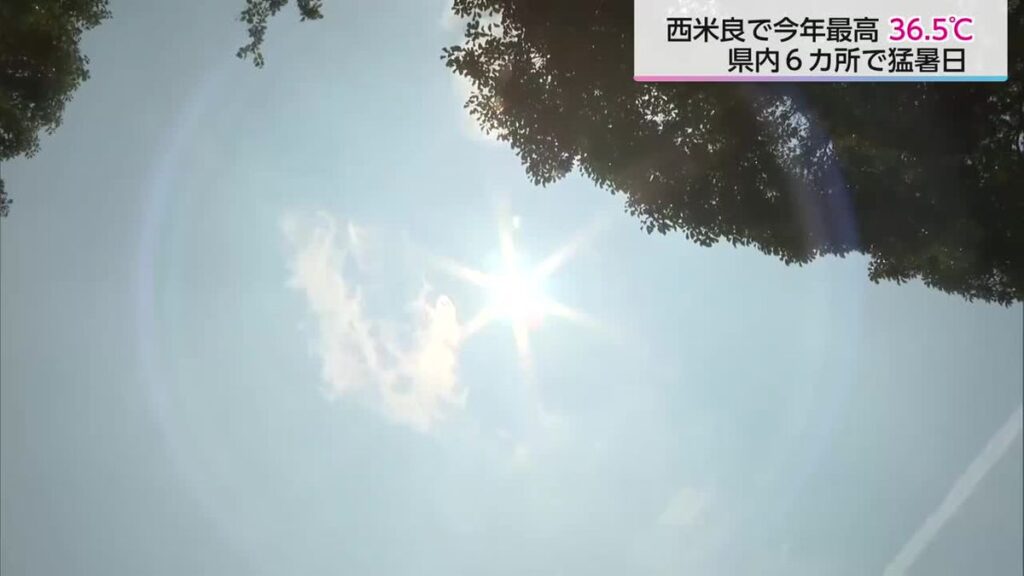 共有
