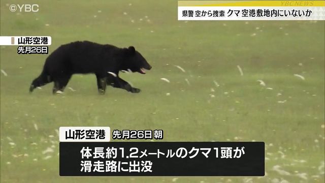 山形空港に出没のクマすでにいないか 5日早朝、山形県警ヘリがっさんが上空から捜索も見つからず（YBC山形放送） - Yahoo!ニュース - Yahoo!ニュース