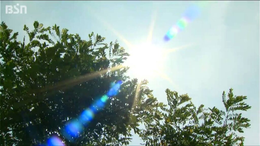7月に入り各地で真夏日 夏本番へ!「お客さんに楽しく いい海でありますように」12日から『海開き』新潟県長岡市寺泊（ＢＳＮ新潟放送） - Yahoo!ニュース