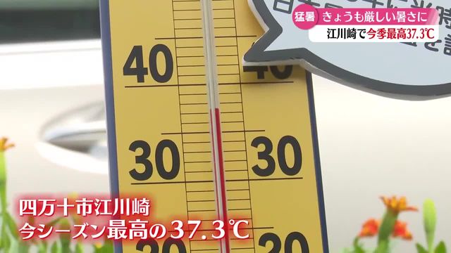 『ジリジリくる…』37.3度 四万十市江川崎で今シーズン最高の暑さ【高知】（RKC高知放送） - Yahoo!ニュース - Yahoo!ニュース