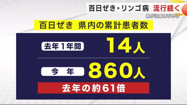 「百日ぜき」新たに97人、累計860人で前年の約61倍 「リンゴ病」も流行続く 県が注意呼びかけ 岩手県（岩手めんこいテレビ） - Yahoo!ニュース - Yahoo!ニュース