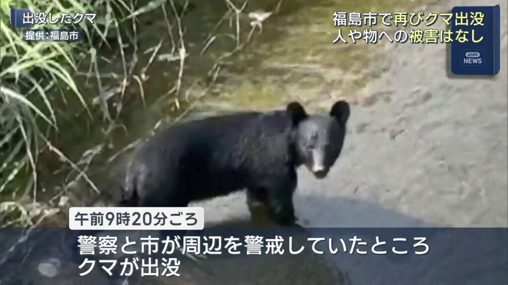 福島市でまたクマ出没 警察や市が警戒強める（福島）（KFB福島放送） - Yahoo!ニュース