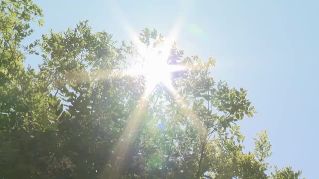 富山市35度・高岡市35.6度の危険な暑さ 10代から80代まで13人が熱中症の疑いで搬送（富山テレビ） - Yahoo!ニュース - Yahoo!ニュース