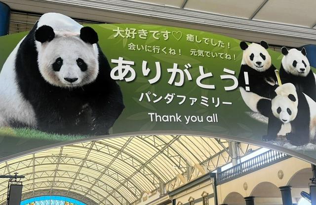 パンダがまた日本に来る日 和歌山から4頭「帰還」したけれど（朝日新聞） - Yahoo!ニュース