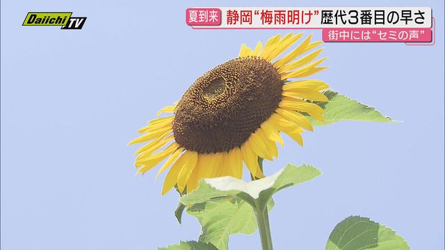 過去3番目の早さ 東海地方で梅雨明けを発表 平年より15日、2024年より14日早い梅雨明け（静岡）（Daiichi-TV（静岡第一テレビ）） - Yahoo!ニュース - Yahoo!ニュース