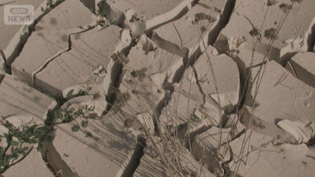 スペイン40℃超え続発…砂漠化の懸念 欧州“熱波”で原発停止も相次ぐ 経済損失拡大（テレビ朝日系（ANN）） - Yahoo!ニュース