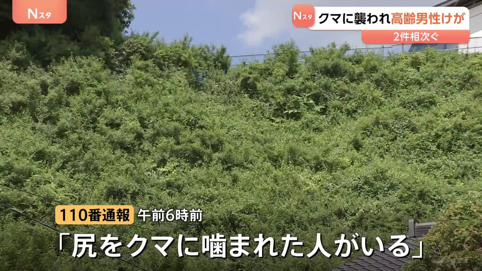 「痛いと思って見たらクマ」栃木・那須塩原でクマ被害相次ぐ　男性(85)が襲われ軽傷　3キロ離れた山林では77歳男性がかまれケガ（TBS NEWS DIG Powered by JNN）