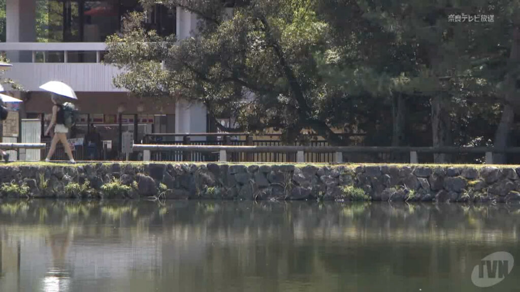 奈良市で今年最高の３６．６℃ 危険な暑さ ５カ所で２０２５年最高気温（奈良テレビ放送） - Yahoo!ニュース - Yahoo!ニュース