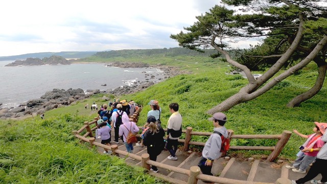 太平洋の雄大な景観と種差海岸の自然を満喫 みちのく潮風トレイルを歩くウォーキングイベント（青森放送） - Yahoo!ニュース - Yahoo!ニュース