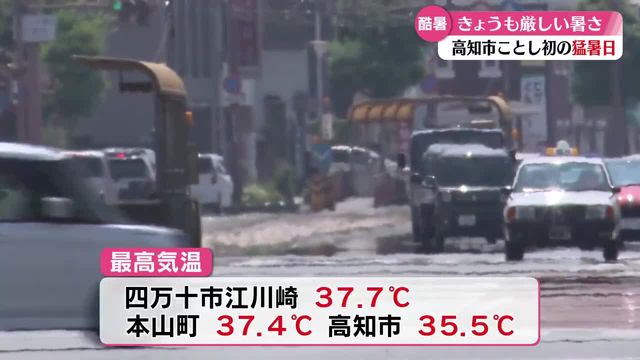 高知市で猛暑日【高知】（RKC高知放送） - Yahoo!ニュース