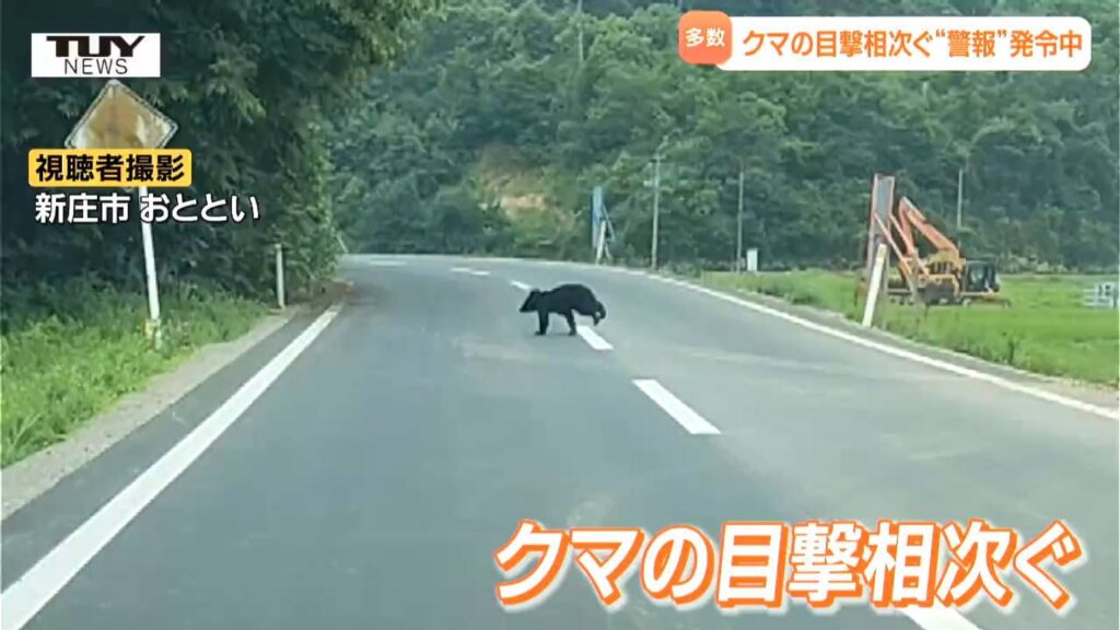 横切る瞬間がカメラに...県内でクマの目撃相次ぐ 県は8月31日までクマ出没警報発令（山形）（テレビユー山形） - Yahoo!ニュース - Yahoo!ニュース