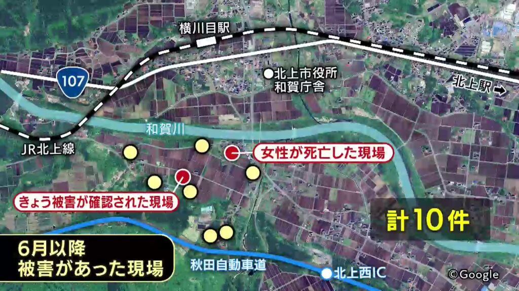 「人間の建物に入ればコメが食べられる」クマが覚えたか クマに襲われ女性が死亡した地域で新たな被害 同一個体とみてわなを追加 岩手県北上市（岩手めんこいテレビ） - Yahoo!ニュース - Yahoo!ニュース