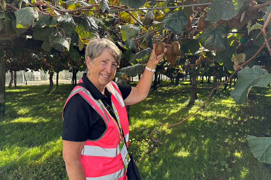 元キウイ農家のスー・ロウリーさん【写真：Hint-Pot編集部】