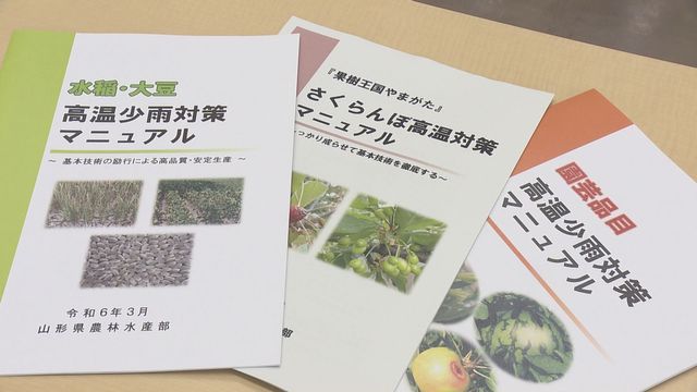 山形県内雨が少ない状況が続く見込み 稲の生育に水管理の徹底を 一方飯豊町で記録的短時間大雨情報（YBC山形放送） - Yahoo!ニュース - Yahoo!ニュース