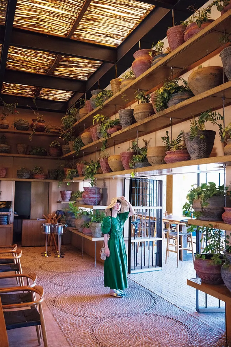 壁一面に巨大な鉢に入った植物が整列した内装で、ラテンアメリカンの世界が広がります。