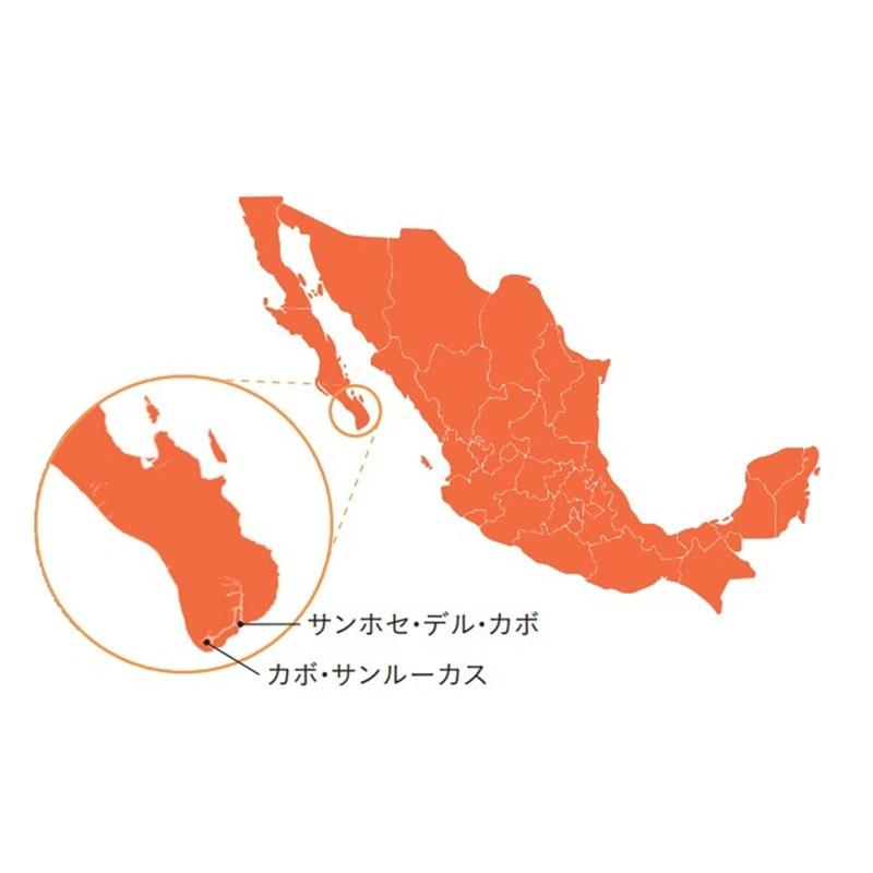 【リンネル7月号】メキシコ・ロスカボスはこちら！