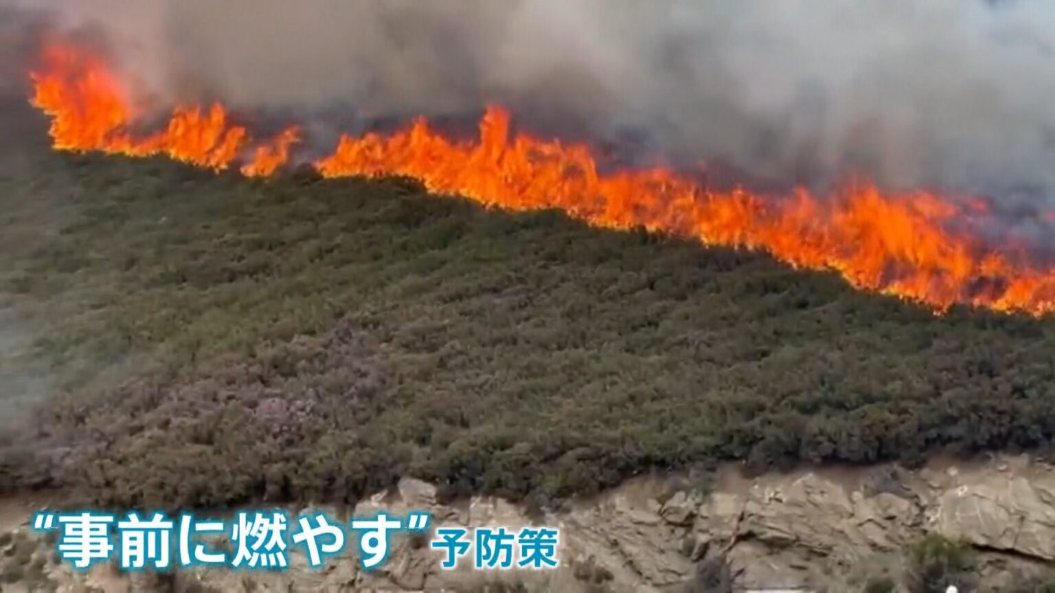スペイン「山火事専門部隊」に密着　火災を未然に防ぐ「防火」とは？　熱感知するドローン部隊の活躍も（TBS NEWS DIG Powered by JNN）