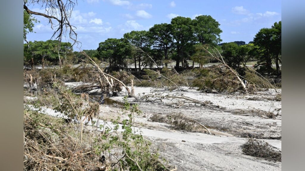 テキサス大規模洪水のカー郡、見渡す限りなぎ倒された木々…亡くなった少女の父「悲しみと絶望の日々」 - 読売新聞オンライン