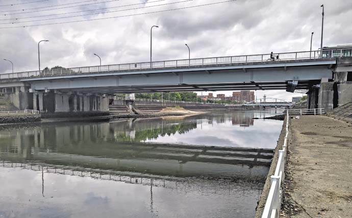 境川のハゼ釣りで10cmの良型含む29尾をキャッチ！【千葉】上げ潮狙いが的中