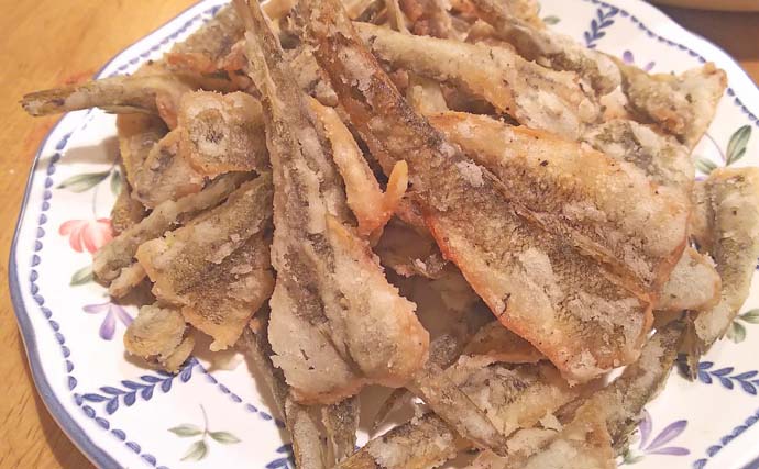 境川のハゼ釣りで10cmの良型含む29尾をキャッチ！【千葉】上げ潮狙いが的中