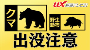 【警戒】新潟市中央区にイノシシ出没：見かけたら「急に走り出さず、ゆっくり後退」を【新潟】（UX新潟テレビ21） - Yahoo!ニュース - Yahoo!ニュース