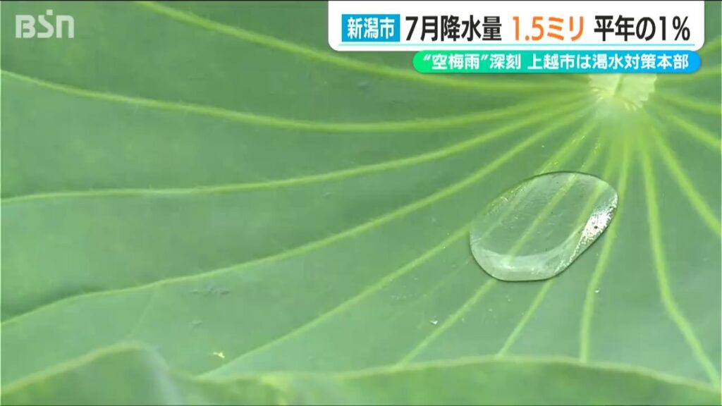 「記録的な空梅雨」新潟市などで10日ぶりの雨も降水は記録されず… 7月の降水量は平年の1％以下 上越市では渇水対策本部設置（ＢＳＮ新潟放送） - Yahoo!ニュース - Yahoo!ニュース