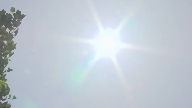 福井が全国で最も暑い日に 1位は小浜の37.4度 2位は美浜の36.3度 16日はまた熱中症警戒アラート（福井テレビ） - Yahoo!ニュース - Yahoo!ニュース