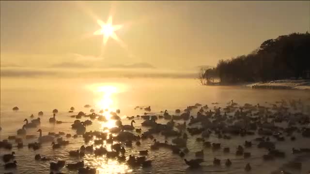 福島・猪苗代湖がラムサール条約に登録 貴重な動植物が生息し人々の暮らしを支える水源 県内2カ所目（福島テレビ） - Yahoo!ニュース - Yahoo!ニュース