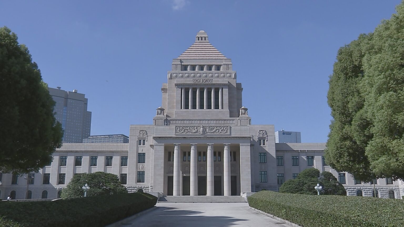 参議院選挙　13人が立候補の兵庫選挙区　候補者たちの「SNSとの向き合い方」【選挙の日、そのまえに】（TBS NEWS DIG Powered by JNN）
