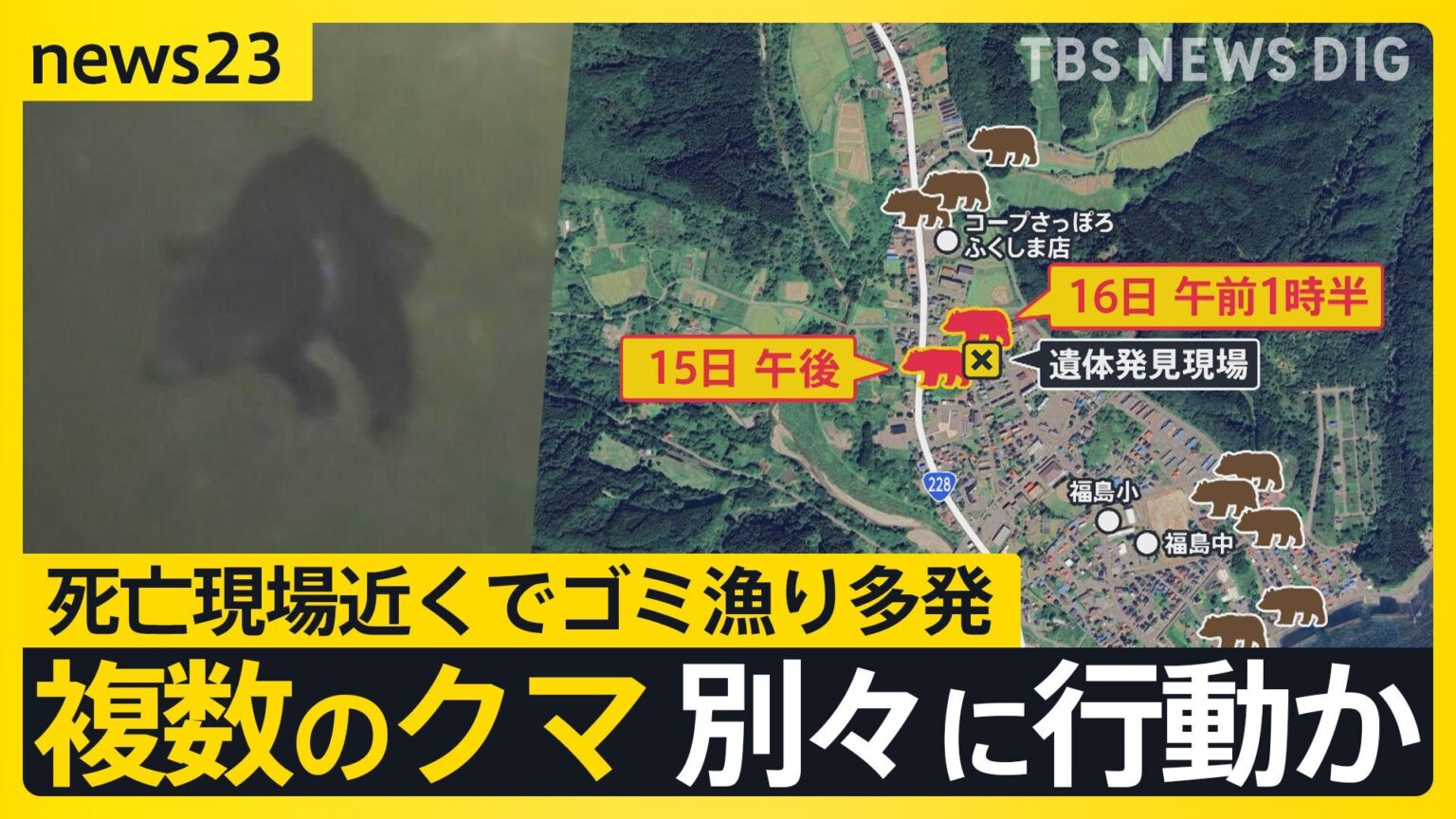 クマ出没でプロゴルフツアー中止 北海道では連日クマのごみ漁り続く 行方不明のハンターは“滑落”の可能性も【news23】（TBS NEWS DIG Powered by JNN）